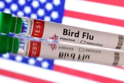 Bird flu vaccine