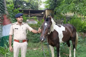 Bihar